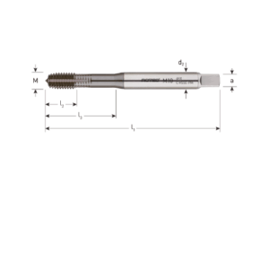 HSS-E PM ROLTAP